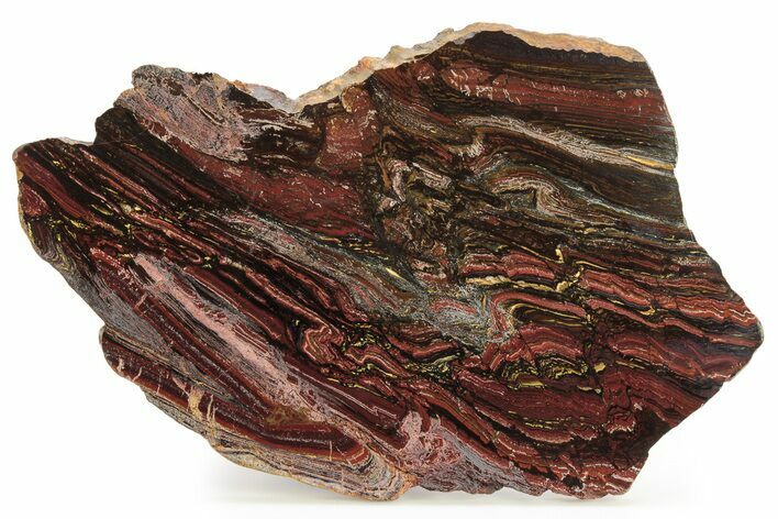 Polished Tiger Iron Stromatolite Slab - Billion Years #261991